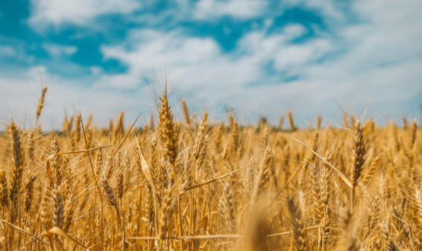 polina-rytova-1dGMs4hhcVA-unsplash polina-rytova-1dGMs4hhcVA-unsplash