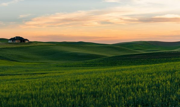 yousef-salhamoud-FJc8kre2jpU-unsplash yousef-salhamoud-FJc8kre2jpU-unsplash